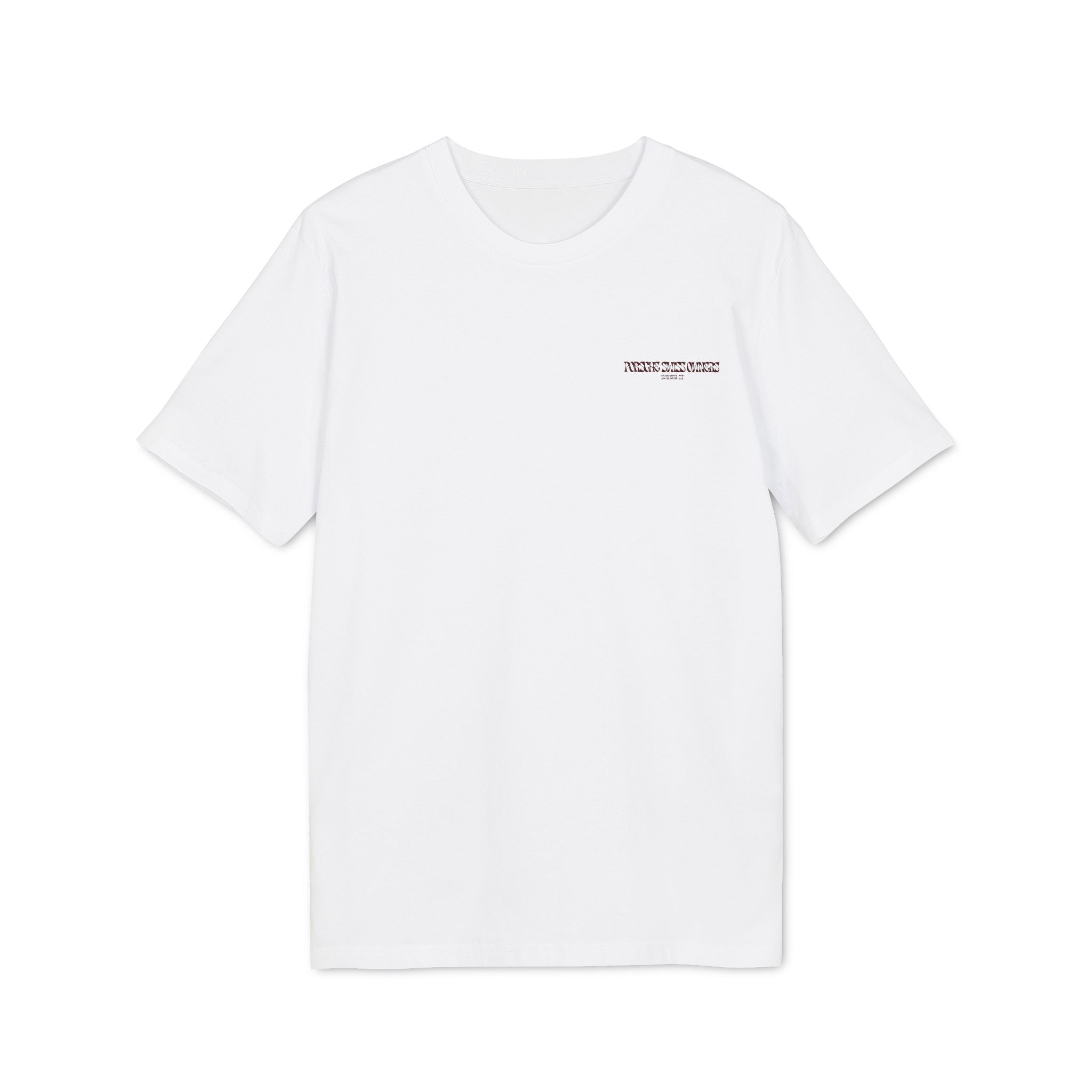 PSO Summer 2026 Premium Unisex T-Shirt